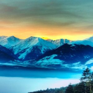 Meet your Posher, Levi